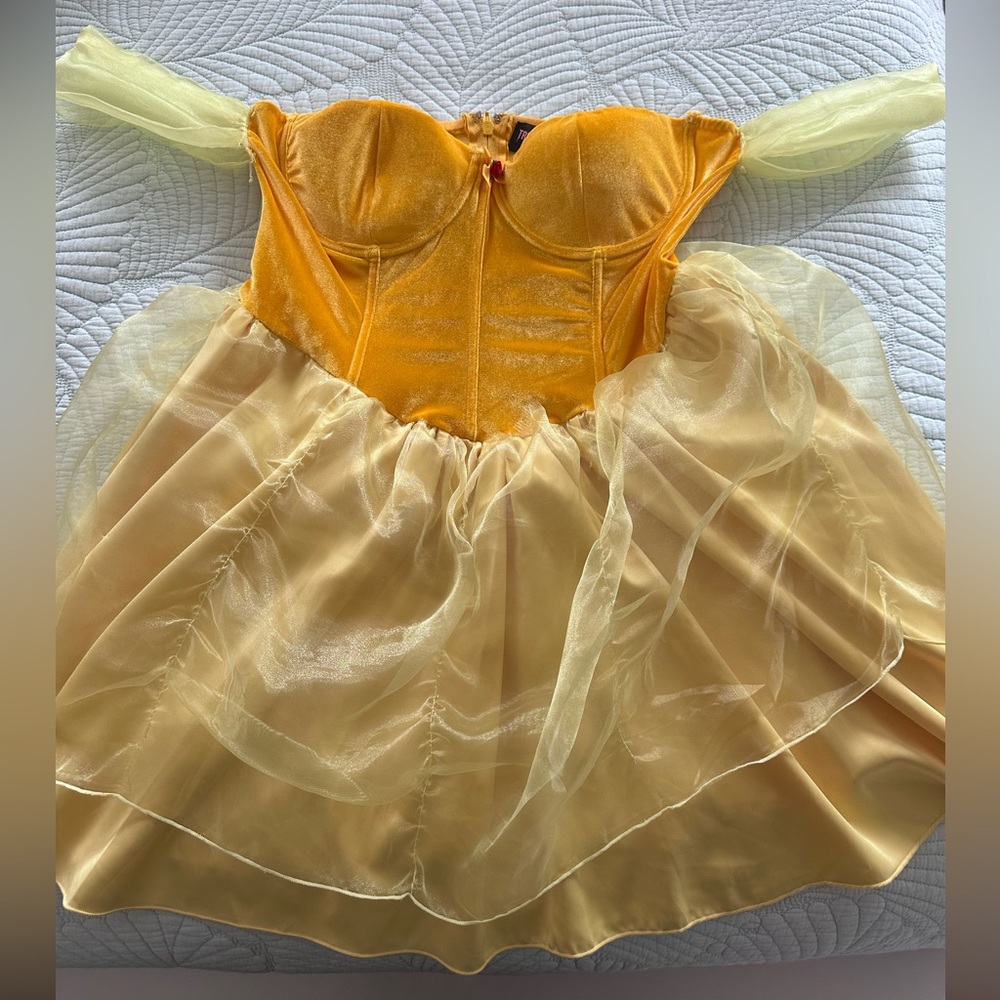 Princess Belle Halloween Costume DRESS ONLY !!